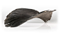 Adrian Swinstead - sculpture: forms