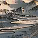 Adobe Portfolio Alpes Alpine cars CGI environment gaea Landscape Maya mountians photoshop retouching  roads terrain vray