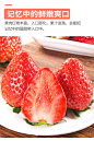 丹东99草莓新鲜整箱牛奶草莓3斤当季孕妇水果草梅红颜大草莓包邮-tmall.com天猫