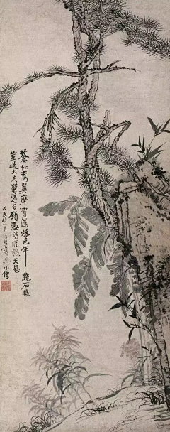 这是山爷采集到❤