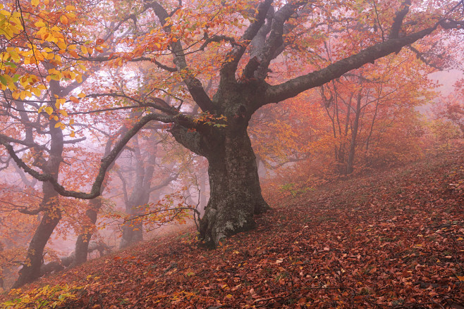 764976.jpg (1500×100...