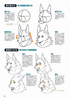 马撸撸采集到动物