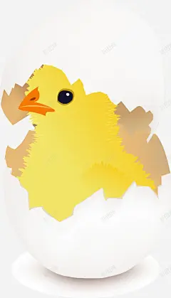 卡通小鸡高清素材 卡通蛋壳小鸡 小鸡出壳 手绘小鸡 免抠png 设计图片 免费下载