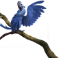 Rio 2 Official Movie Site - Story : RIO returns in RIO 2 joined by a new flock of top actors and musical talent.