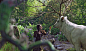 【白雪公主与猎人 Snow White and the Huntsman 2012】
克里斯·海姆斯沃斯 Chris Hemsworth
查理兹·塞隆 Charlize Theron
克里斯汀·斯图尔特 Kristen Stewart
#电影# #电影海报# #电影截图# #电影剧照#