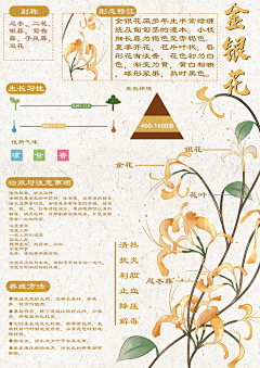 玖月1208采集到文物信息可视化