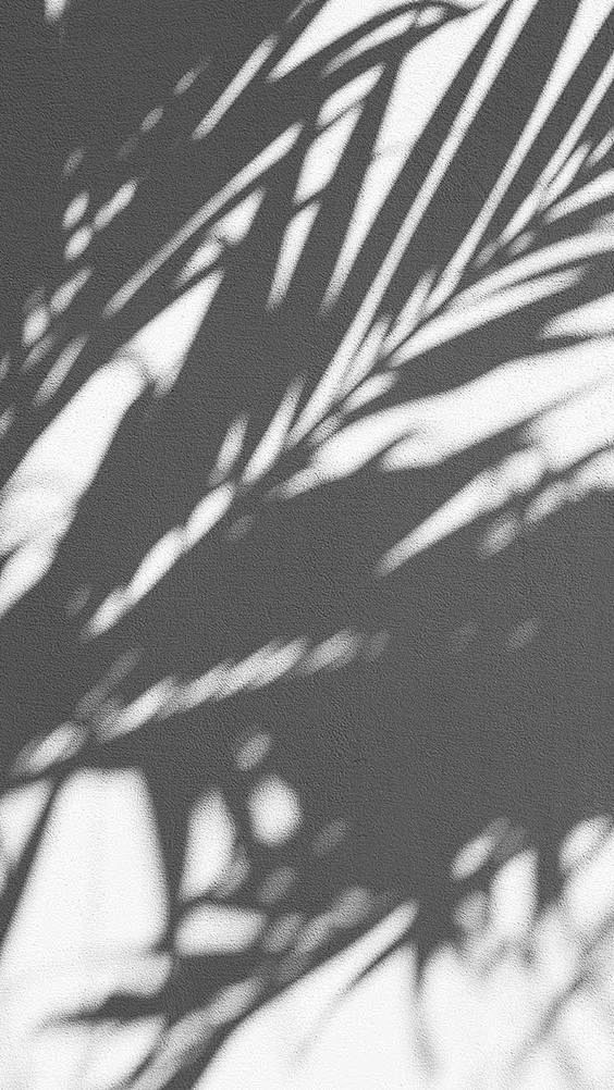 (11) Pinterest