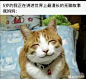 种下一些吊图_吊图吧_百度贴吧