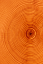 【橙色】Orange