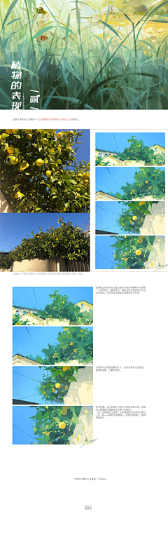 xlozVDxg采集到色彩素描