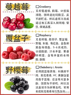 『莓果科普』常见的莓果种类和特点