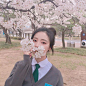 by：佩桓，喜欢我请关注我吧