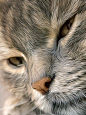 Mona 2 by Jules Plus on 500px