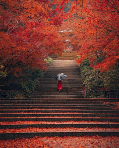 孟孟想起飞采集到风景