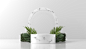 white-marble-podium-showcase-product-placement-with-leaves-white-wall (1)