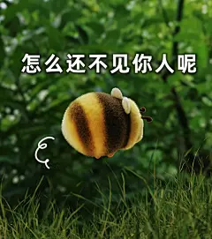 胖蜜表情包～ 在线等你！焦急急.. - 小红书