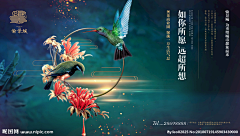 大太阳小生活采集到DM