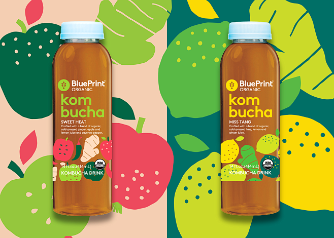 BluePrint Kombucha :...