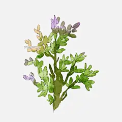 春天树木绿叶树枝图片大小2000x2000px 图片尺寸4.08 MB 来自PNG搜索网 pngss.com 免费免扣png素材下载！产品包装#春天#广告招贴#绿色#绿叶#暖色#色块#商业海报#树木#树枝#仙人掌#装饰图案#紫色#