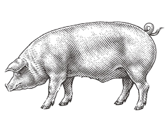 玉如沈大侠采集到版画