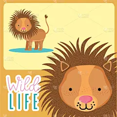 野生动物,动物,狮子,卡通,兽医,可爱的,概念,性格,友谊,自然