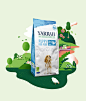 animation  Cat design dog gif ILLUSTRATION  infographic Landscape loop Nature