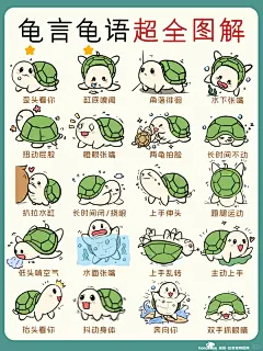 龟言龟语图解|秒懂乌龟的小心思 - 小红书