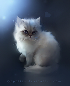 拜拜鱼采集到猫