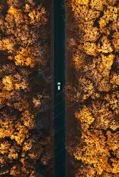 赤脚狮子采集到行走的风景