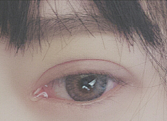 MIGE1111111采集到眼睛
