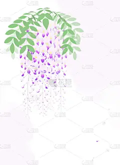 这是个紫色紫藤花簇的例子.