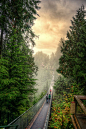 Going home - Heshaaam Bridge - Vancouver - Canada