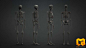 #人体结构#骨架#3D模型# - Skeleton #3d model#