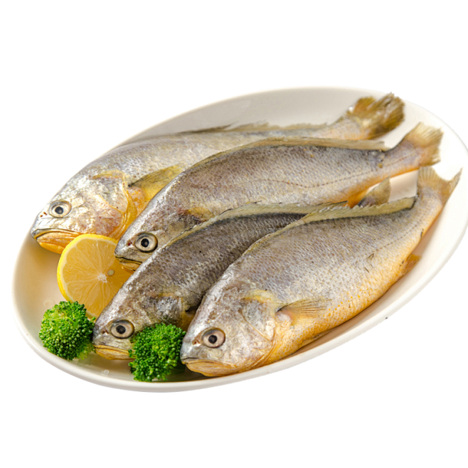小黄鱼