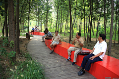 子曰=小丸子采集到红色文化