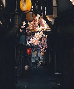 采集图片