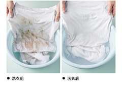 TO-大羽采集到洗衣液