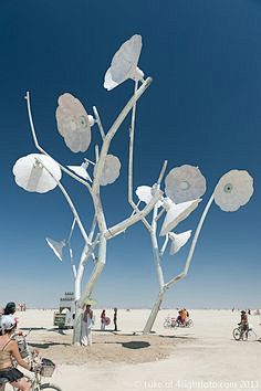 burning man