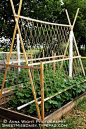 Cucumber trellis and PVC watering system, as well as other useful gardening tips and ideas.: 