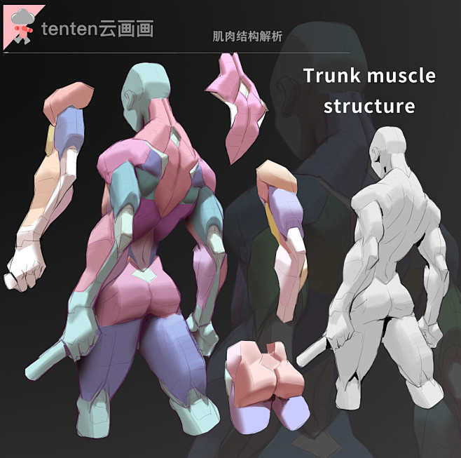肌肉结构练习