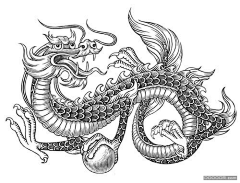 你又花钱了采集到黑白线条