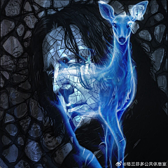 Johnny_仲義采集到美图收存
