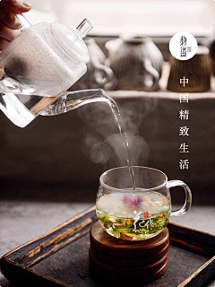 龙衣（LongE）采集到与茶