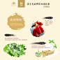 英皇龙威牌斯力泰胶囊 成份解析2 #金枪哥 #    #斯力泰 #   #阳痿 #   #早泄# #森辉科技# #性功能衰退# #延时喷剂# #坚挺#  #啪啪啪#  #补肾#