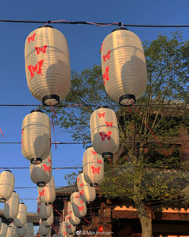 来自分享