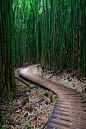 Follow the path by Xabier Urra