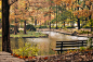 8933.jpg_wh860