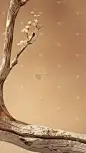 通用实景棕色木枝背景素材