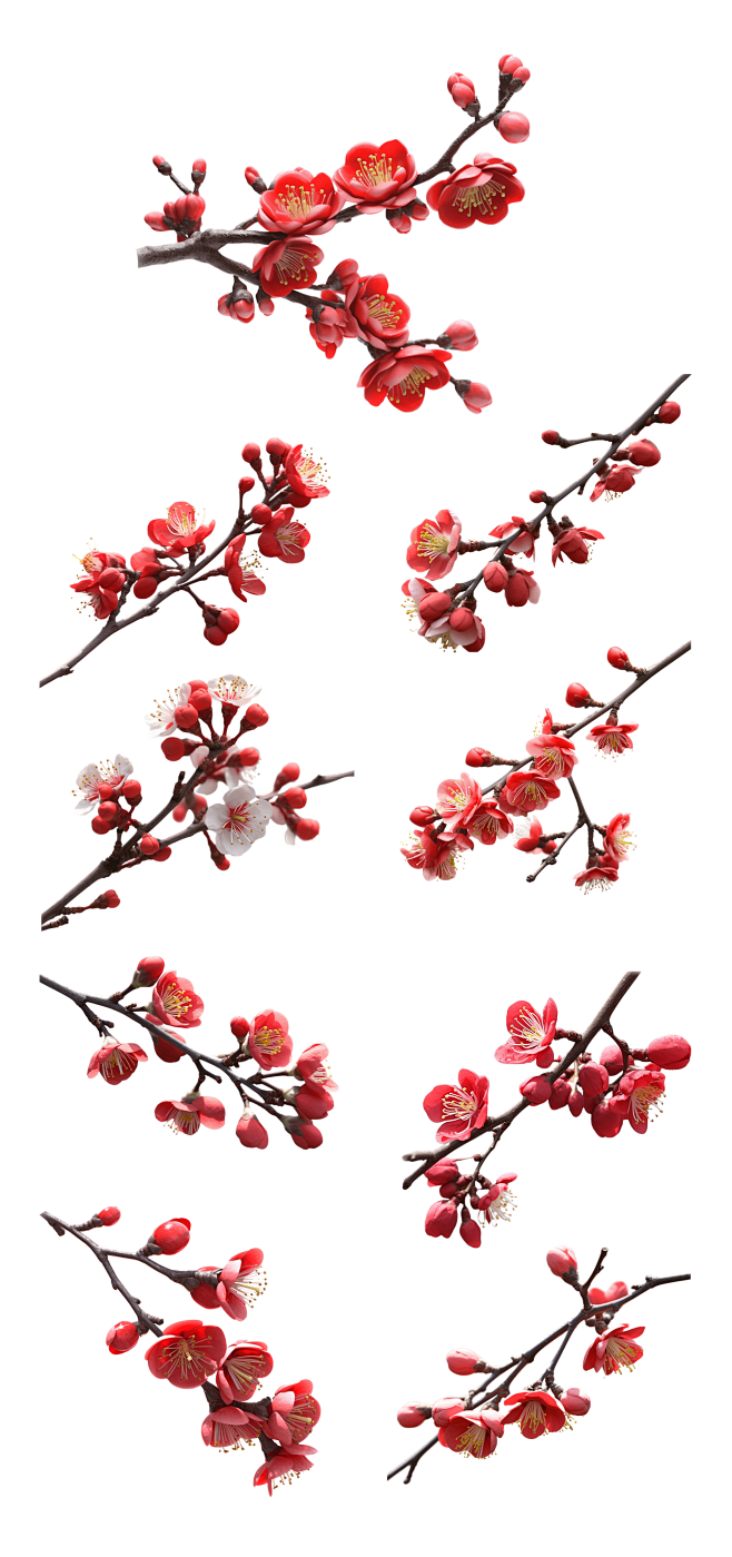 梅花素材