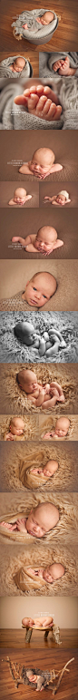 阿什维尔夏洛特新生婴儿摄影师摄影师